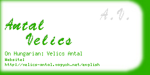 antal velics business card